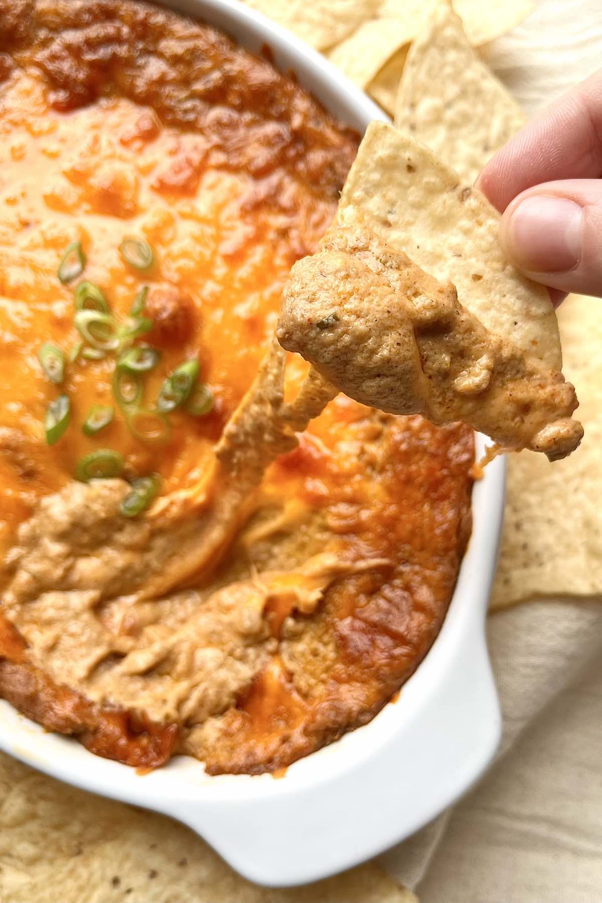 A tortilla chip dipped in bean dip with cheese pulling from it.