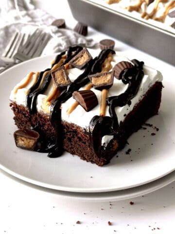 Slice of chocolate peanut butter cup dump cake on a white plate.