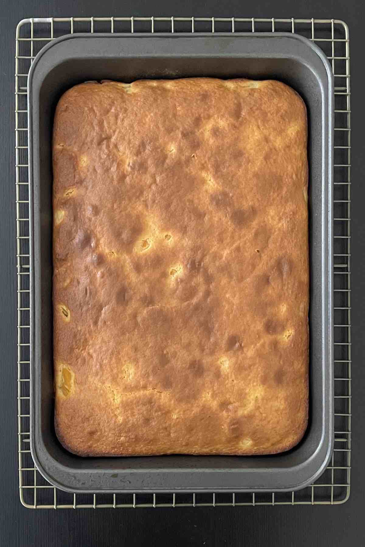 Baked peach cake in baking dish.